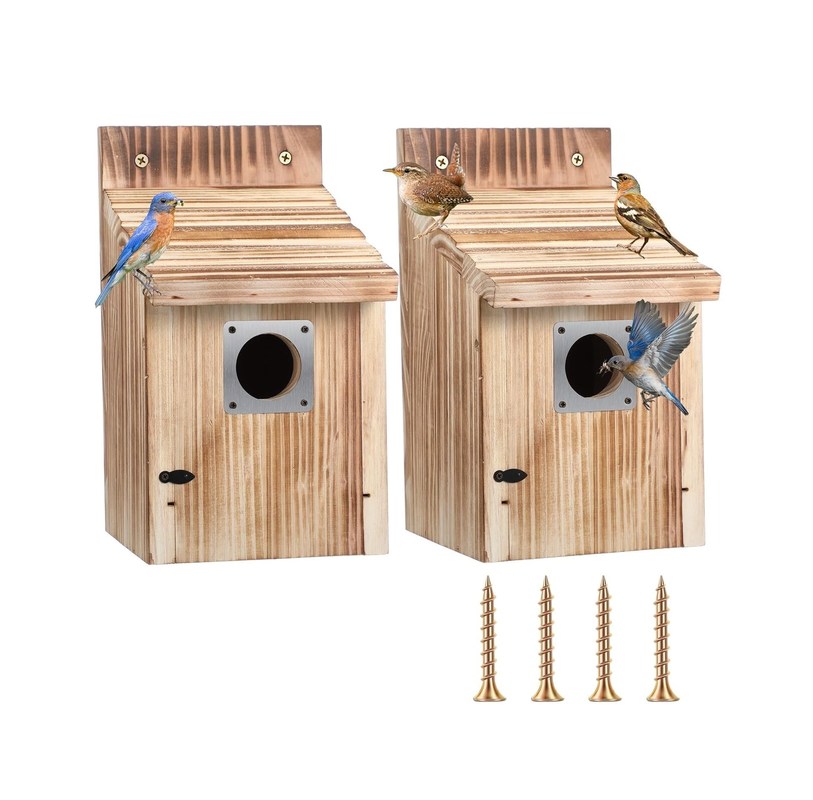 Personalized Logo akzeptabel 2 Pack Cedar Bluebird Box Häuser für den Außenbereich